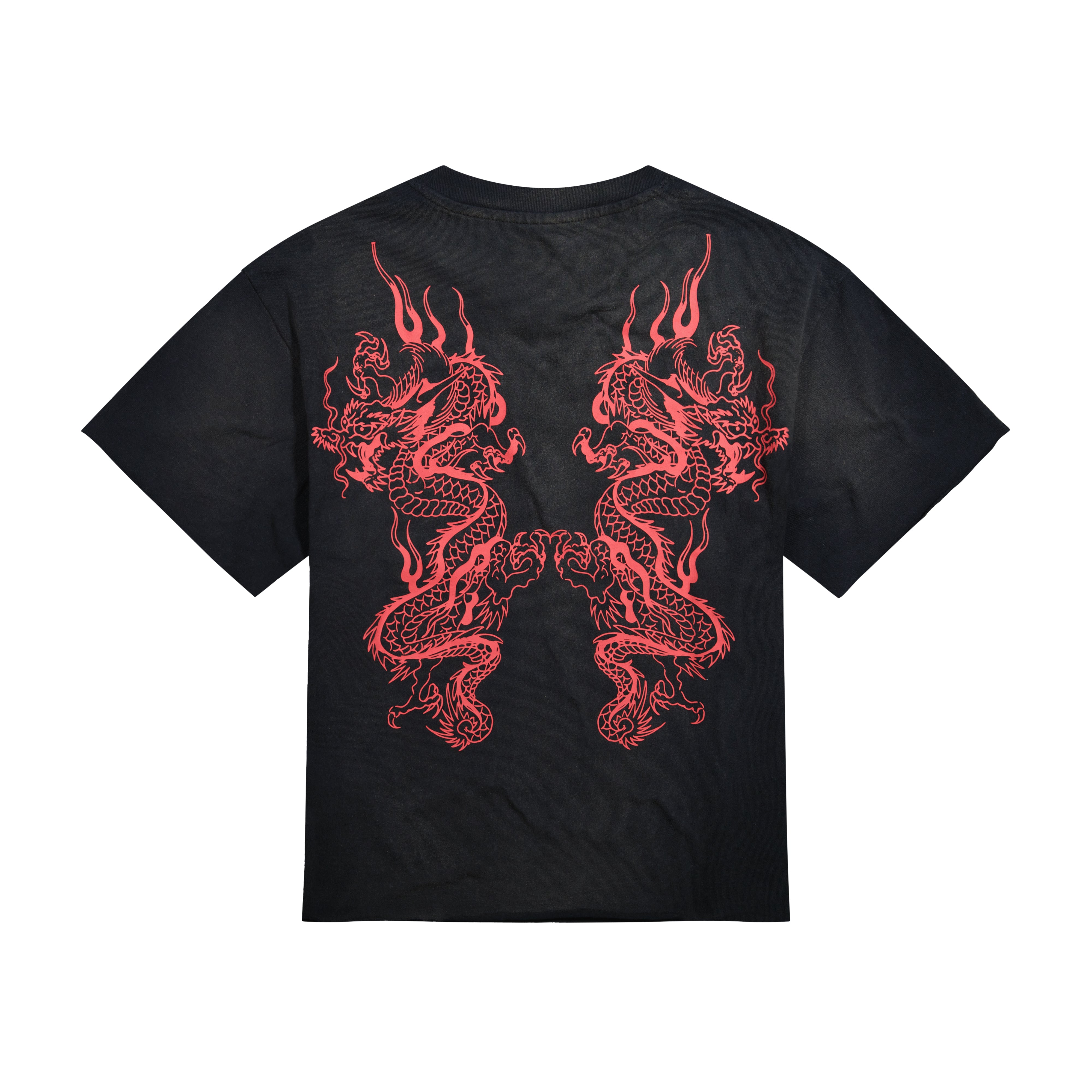 Mary Dragons Boxy Cropped Tee | Men's Y2K Boxy Tee | Ed Hardy